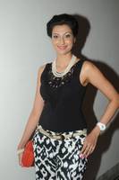 Hamsa Nandhini at Attarintiki Daaredi Audio